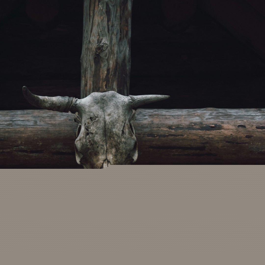 Reading Blood Meridian with Aphantasia