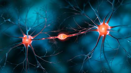 USC researchers win $8 million NIH grant to pursue novel Alzheimer’s drug
