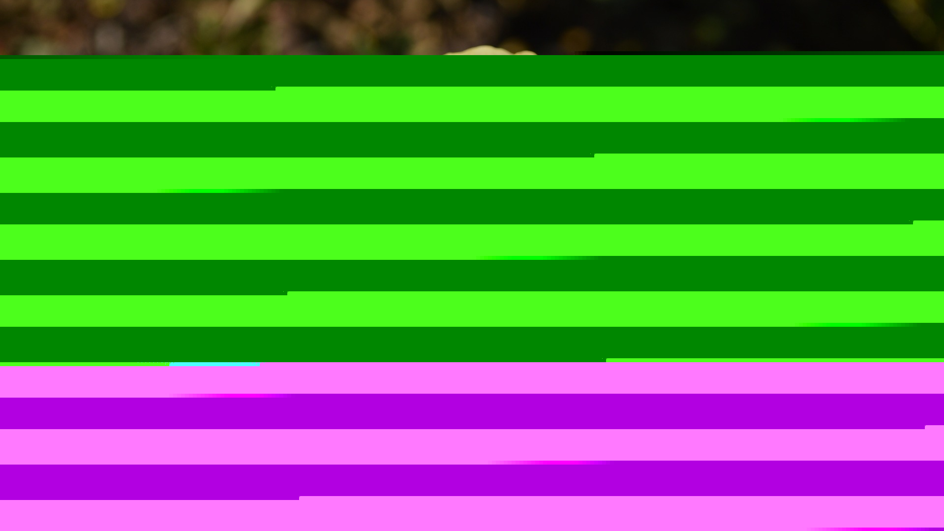 A bug by any other name