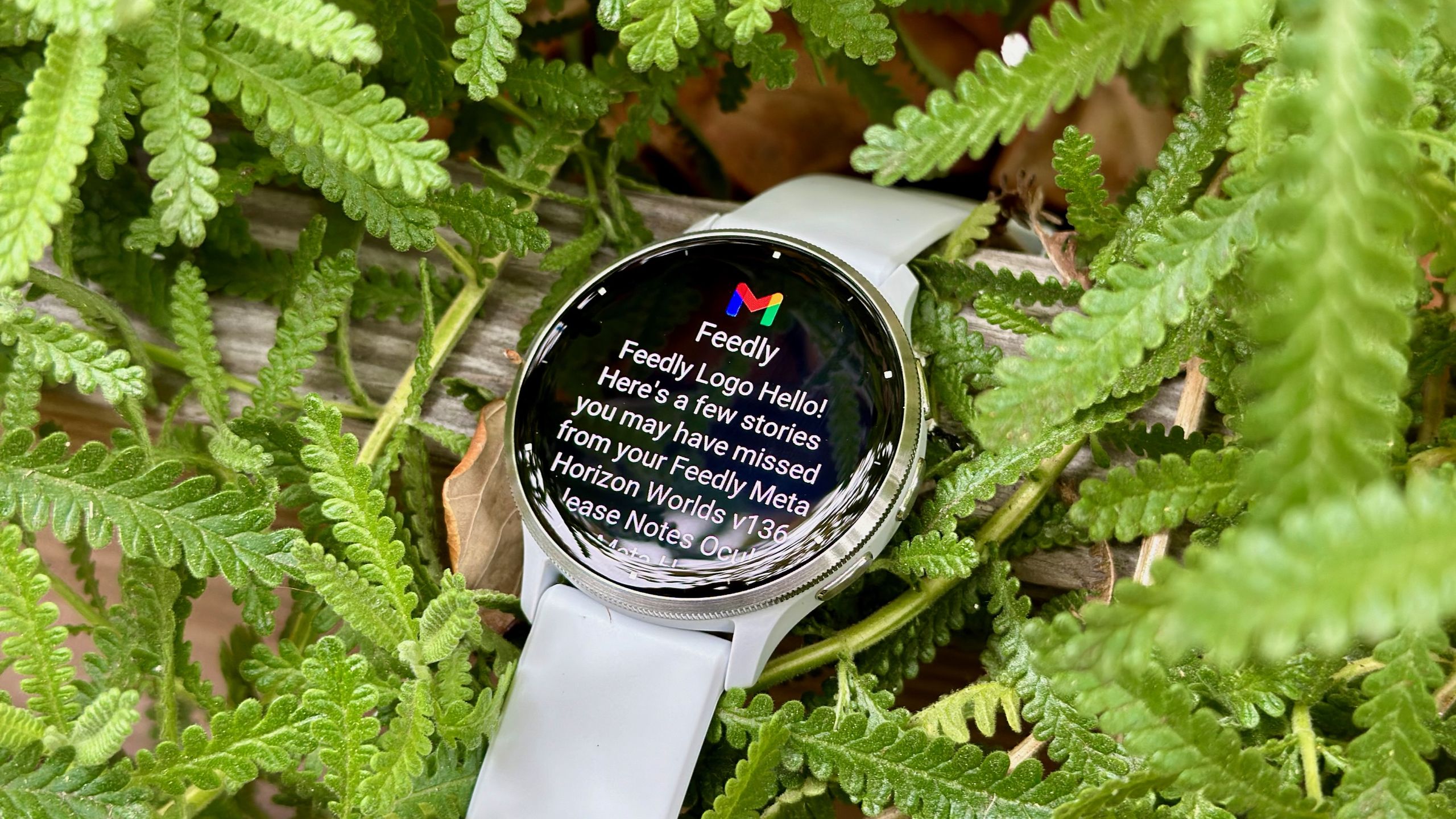 Best Buy just quietly carved $100 off a truly iconic Garmin watch - but is the Venu 3 still worth the money?