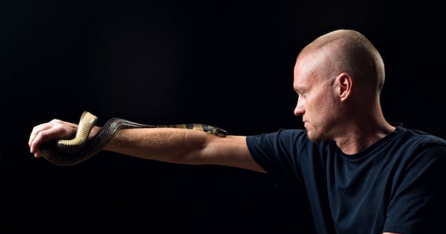 He endured hundreds of venomous snake bites. His blood could help others survive