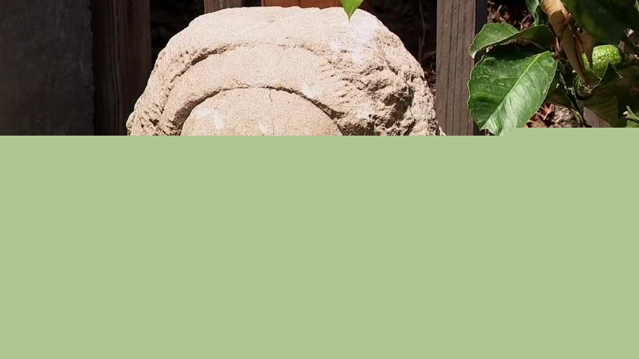 Mystery sculpture found in San Francisco backyard