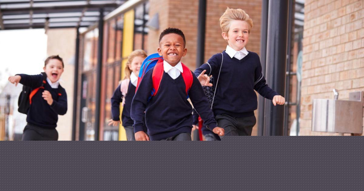 Dorset Council sets out next steps to improve support for young people with SEND