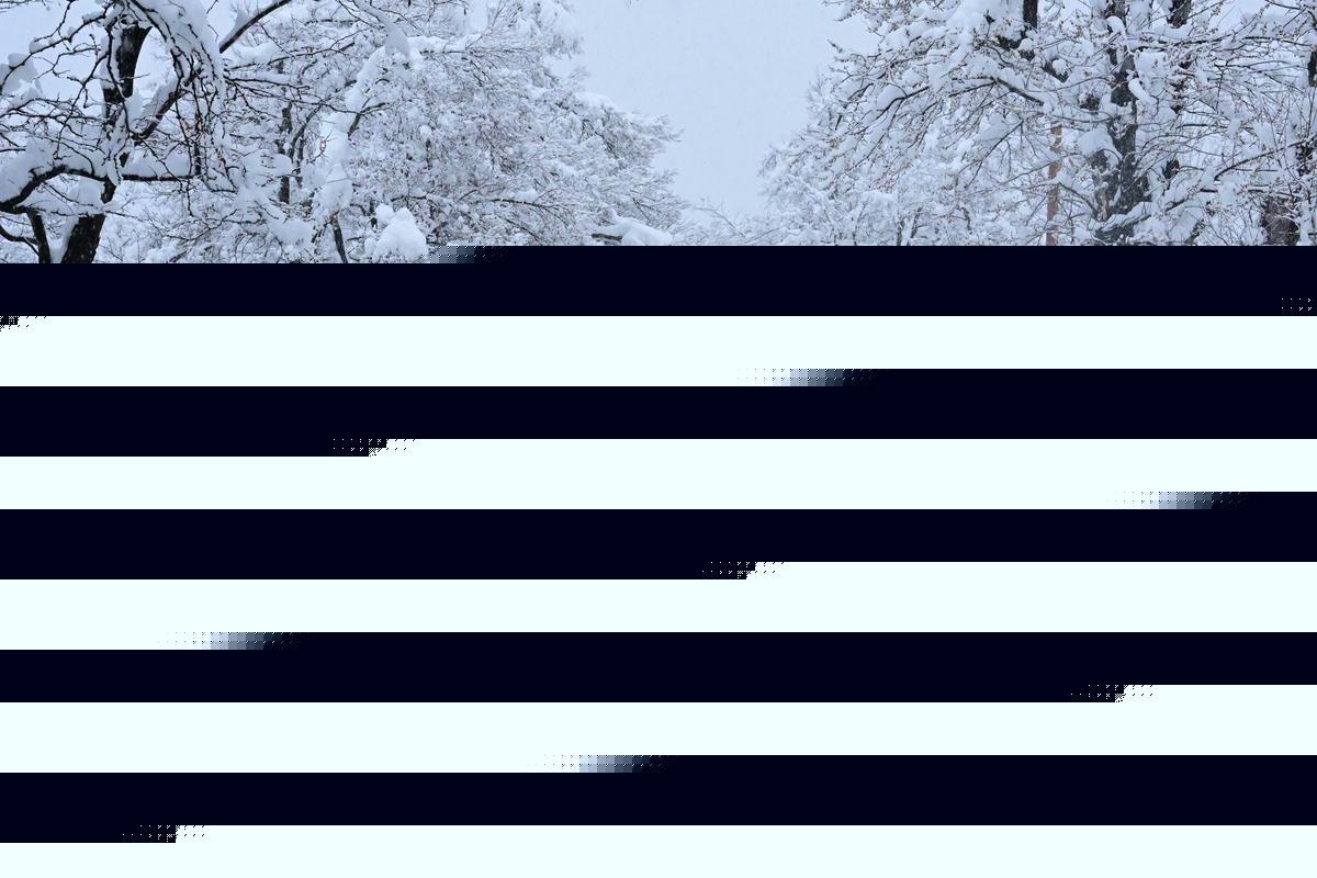 Farmer's Almanac: How Snowy Will Our Winter Be in Colorado?