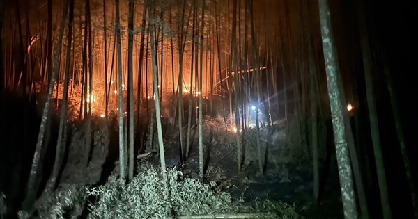 Fire extinguished after burning 1 hectare of bamboo forest in Yunlin