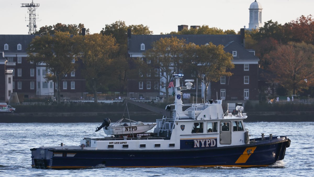 Boat captain arrested after vessel capsizes near Statue of Liberty, killing woman and her baby