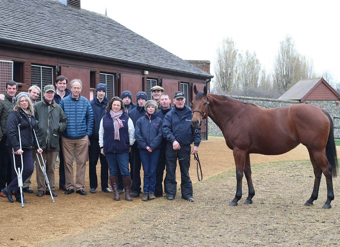 ‘Outstanding’ Broodmare Immortal Verse Dies At 18