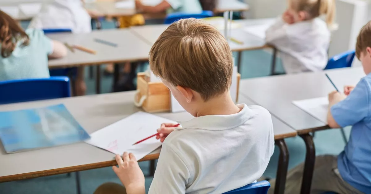 Derbyshire councillors to urge Government action on four paused new schools