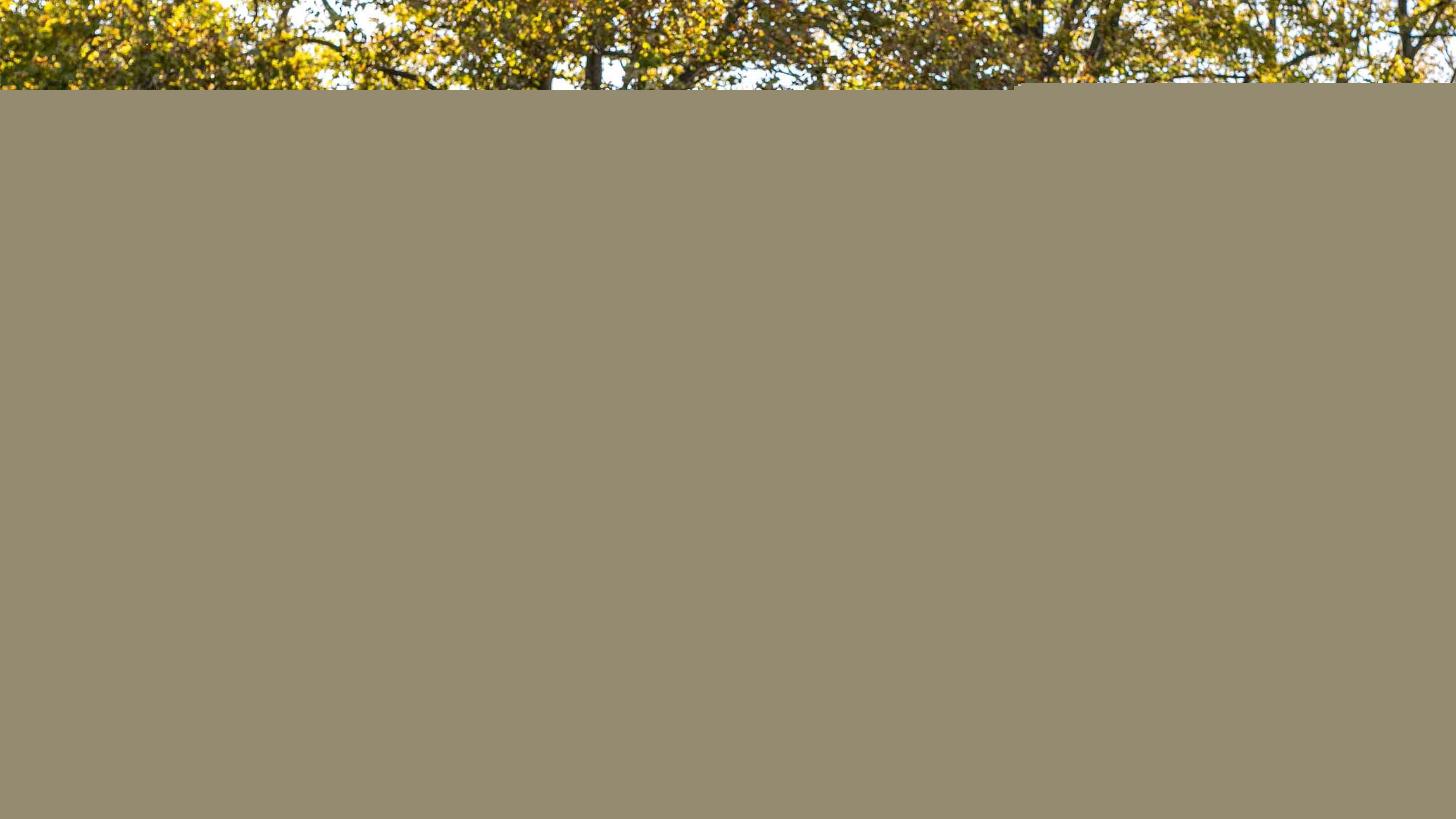 <![CDATA[AstraZeneca and Bristol Myers Squibb Held Merger Talks: Report]]>