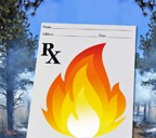 Comment on Inyo National Forest Prescribed Fires to Thin Forest by How to Find your Public Lands - Sierra Mountain Center
