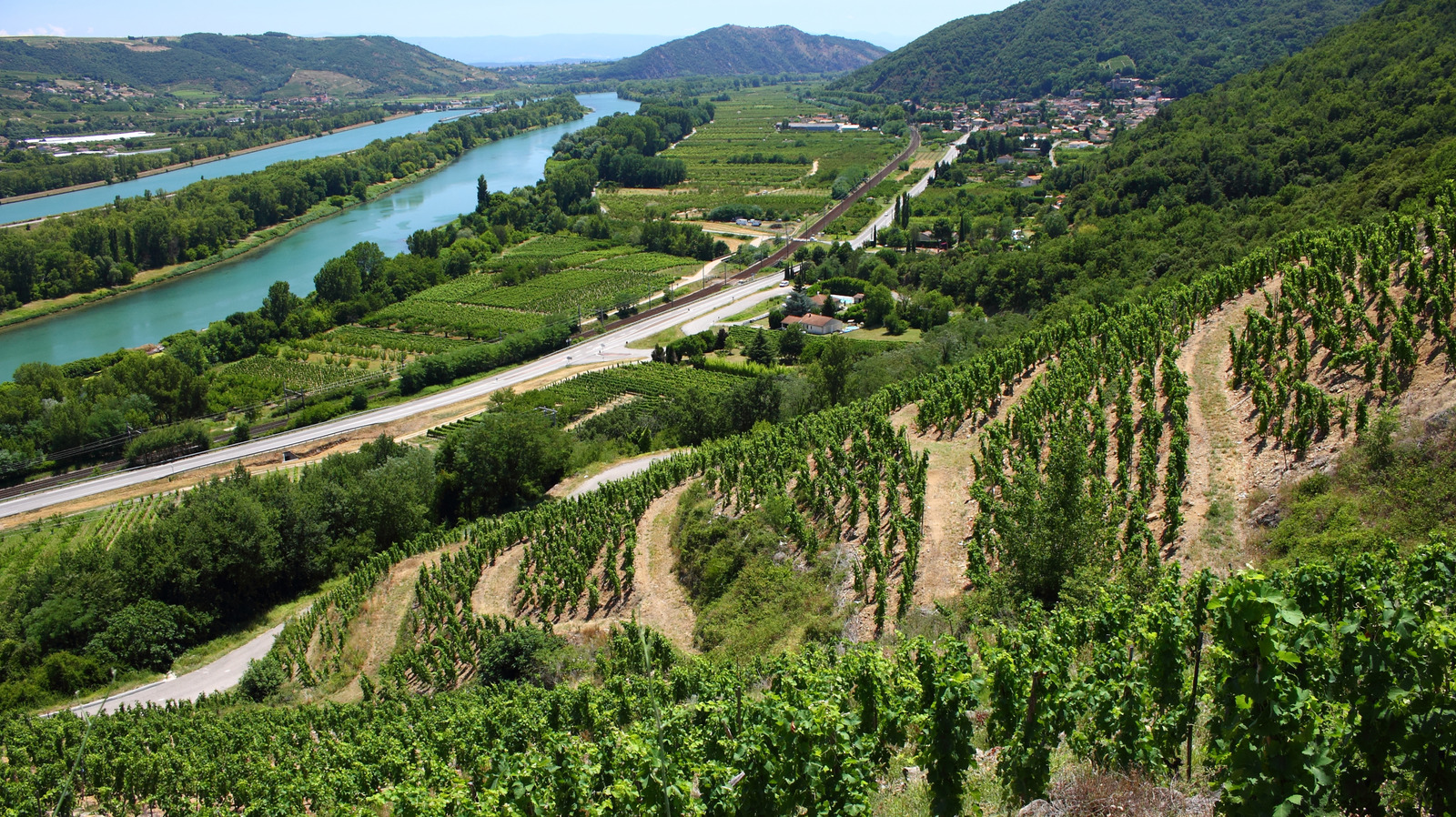 Rick Steves Calls The Wines Of This Engaging French Region 'Easy On The Palate And On Your Budget'