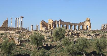 Archaeological Site of Volubilis