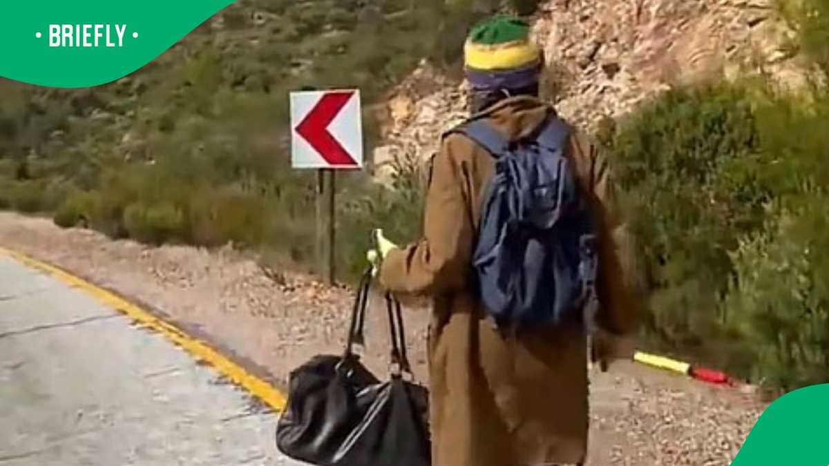 Watch: Cape Town man's calm encounter with black spitting cobra from his backpack