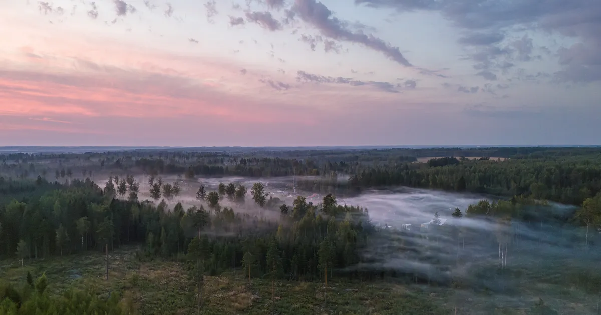 Defense forces propose to establish temporary no-fly zone in Eastern Estonia