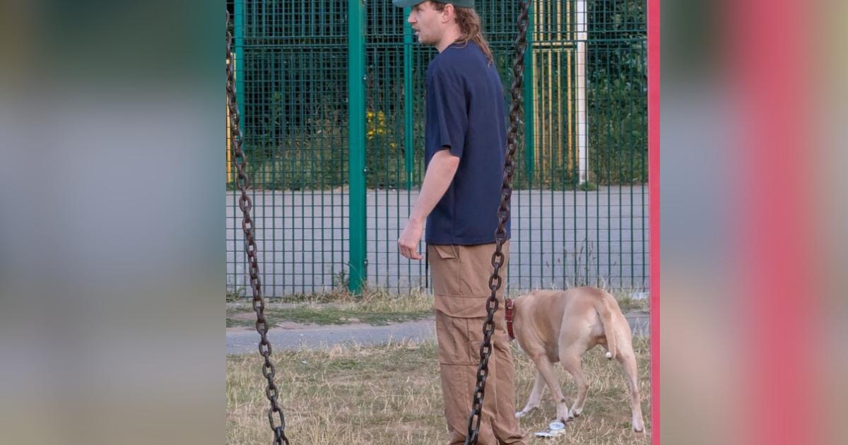 Dog walker treated in hospital after breaking up dog fight