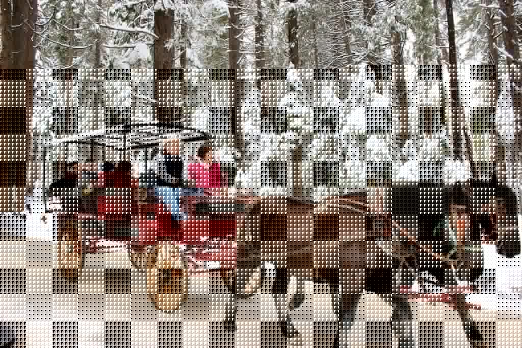 Comment on Calaveras-Big-Trees-Winter-Wonderland-Lisa-Boulton-1024×683 by Dose Baye