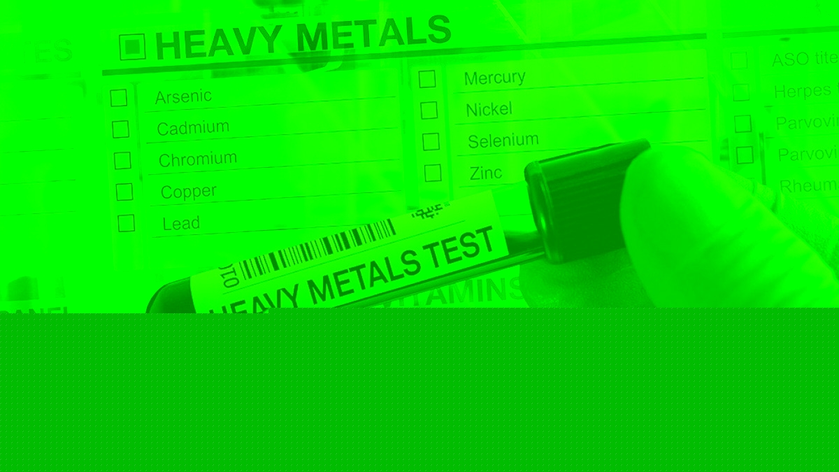 Does your body absorb heavy metals? Bioavailability explained