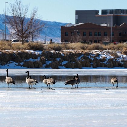 Winter’s Best-Kept Secret: The Platte River Trails in Snow Season