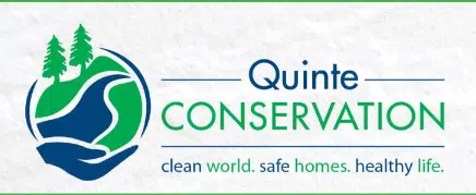 Quinte Conservation taking action against invasive plant species in Bay of Quinte