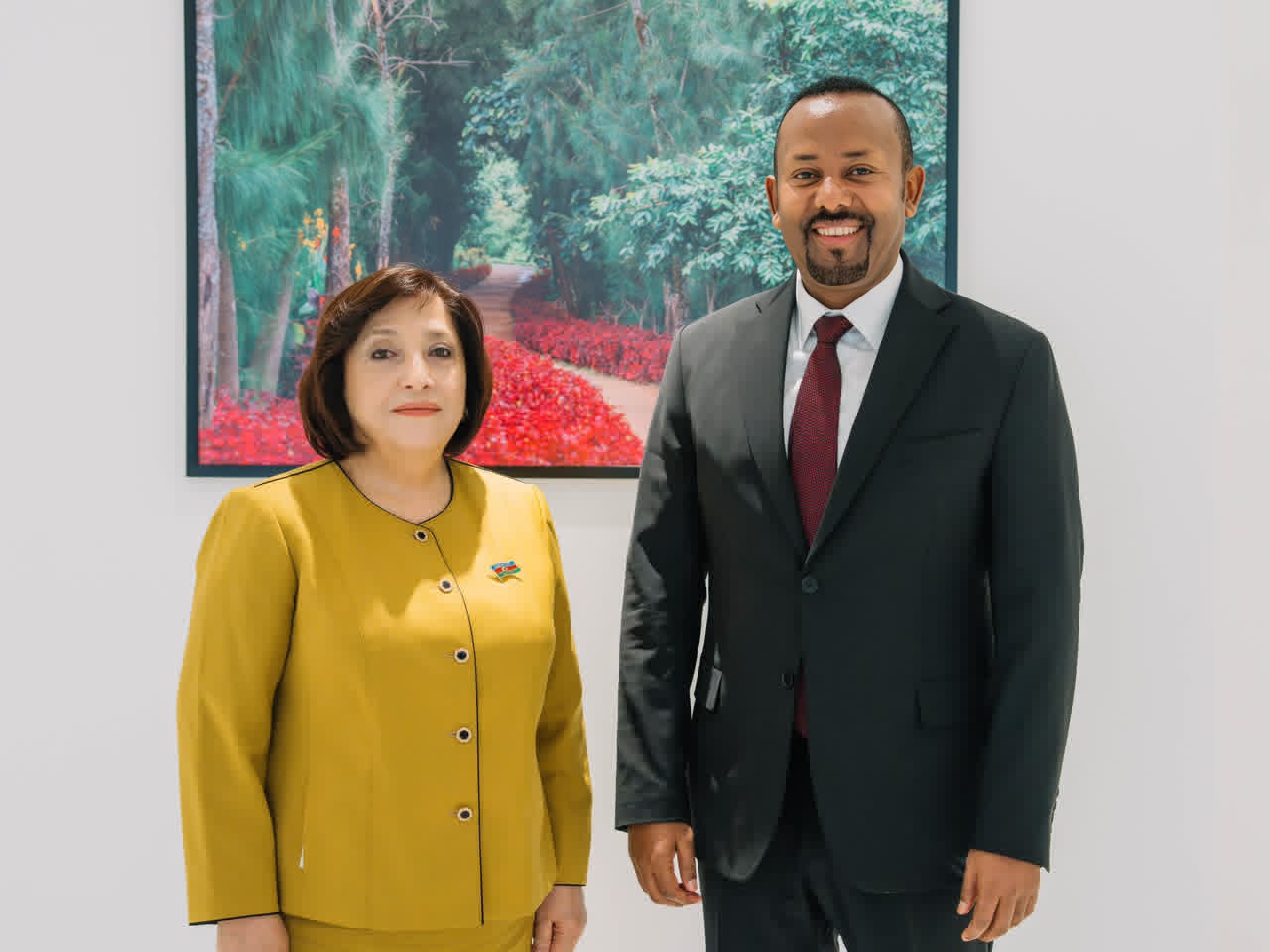 Azerbaijan's Parliament Speaker, Ethiopian PM review bilateral ties