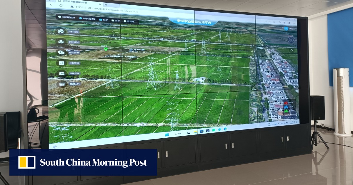 Not like their grandparents: Shanghai’s success in hi-tech farming sets example