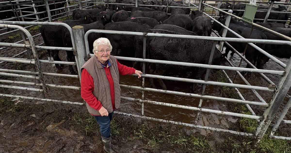 'Stoked': money in mud at Tumut with signs market drop is turning around