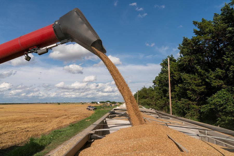 Saudi Arabia issues wheat tender seeking 420,000 tons