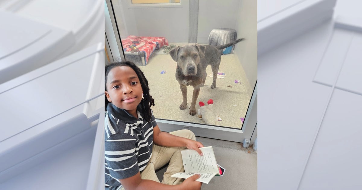 Boy, 11, spends 100 hours reading to shelter animals at Jacksonville Humane Society