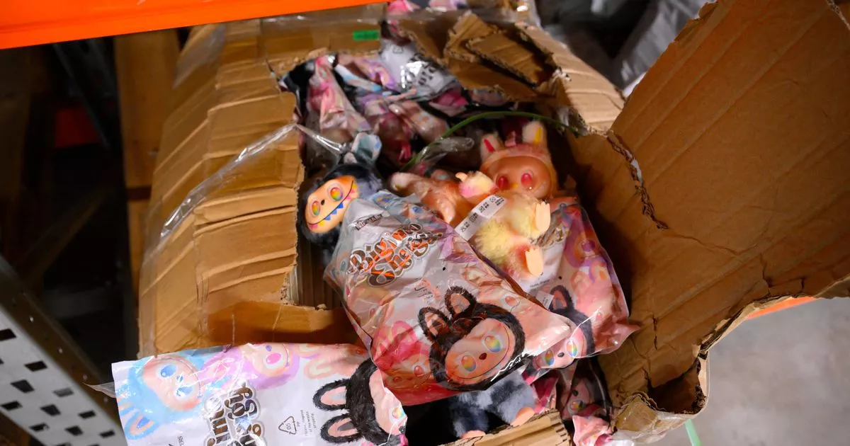 Dangerous counterfeit Labubu dolls discovered in Southend
