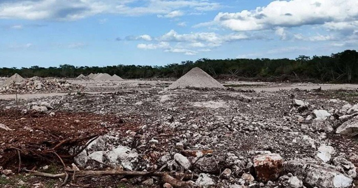 Poultry Farm Shut Down for Illegal Land Use Change in Hoctún, Yucatán