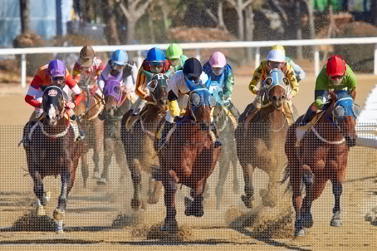 Bankrupt: Chicagoland Horse Racing Track To Close After 135 Years