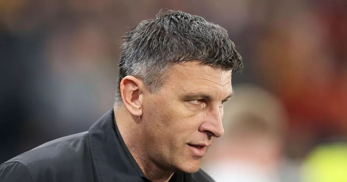 Hull City boss makes Semi Ajayi admission as he opens up on Liam Millar return