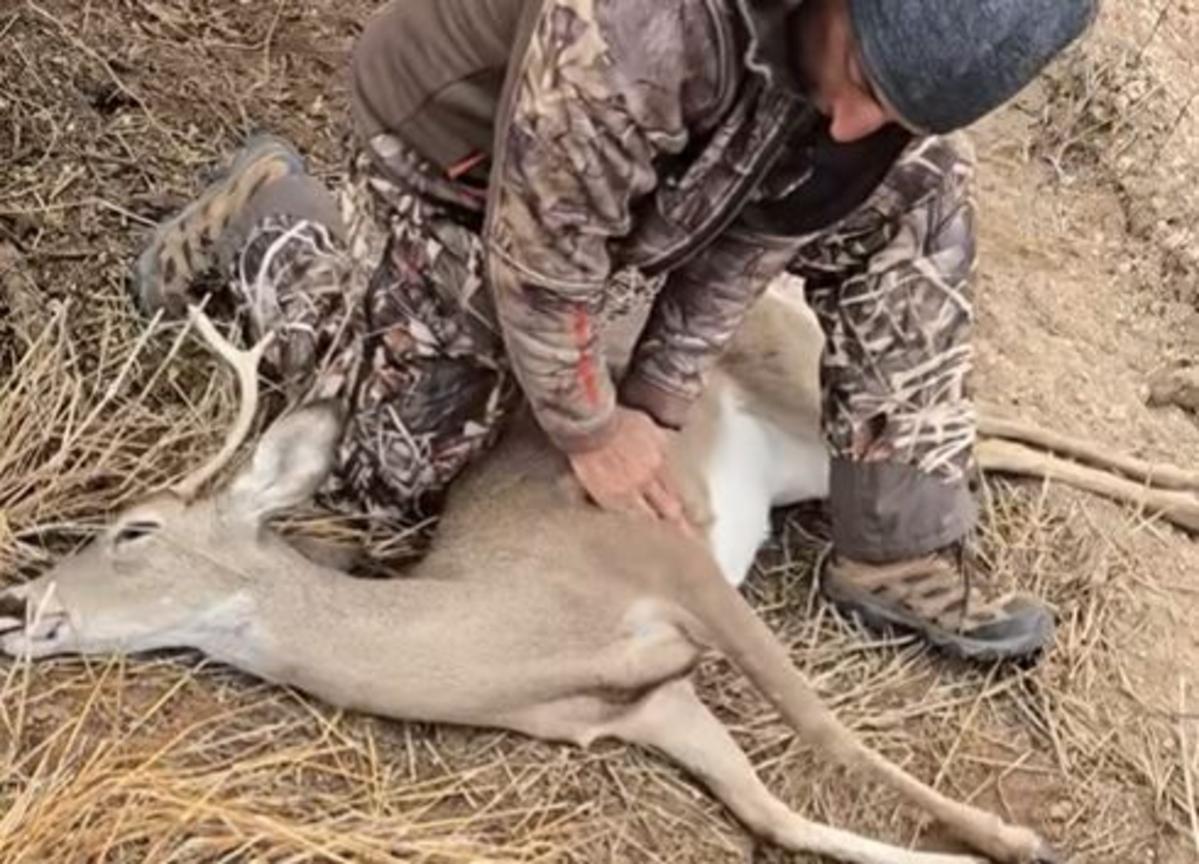 The Unexpected Moment A Buck Received Life-Saving Aid