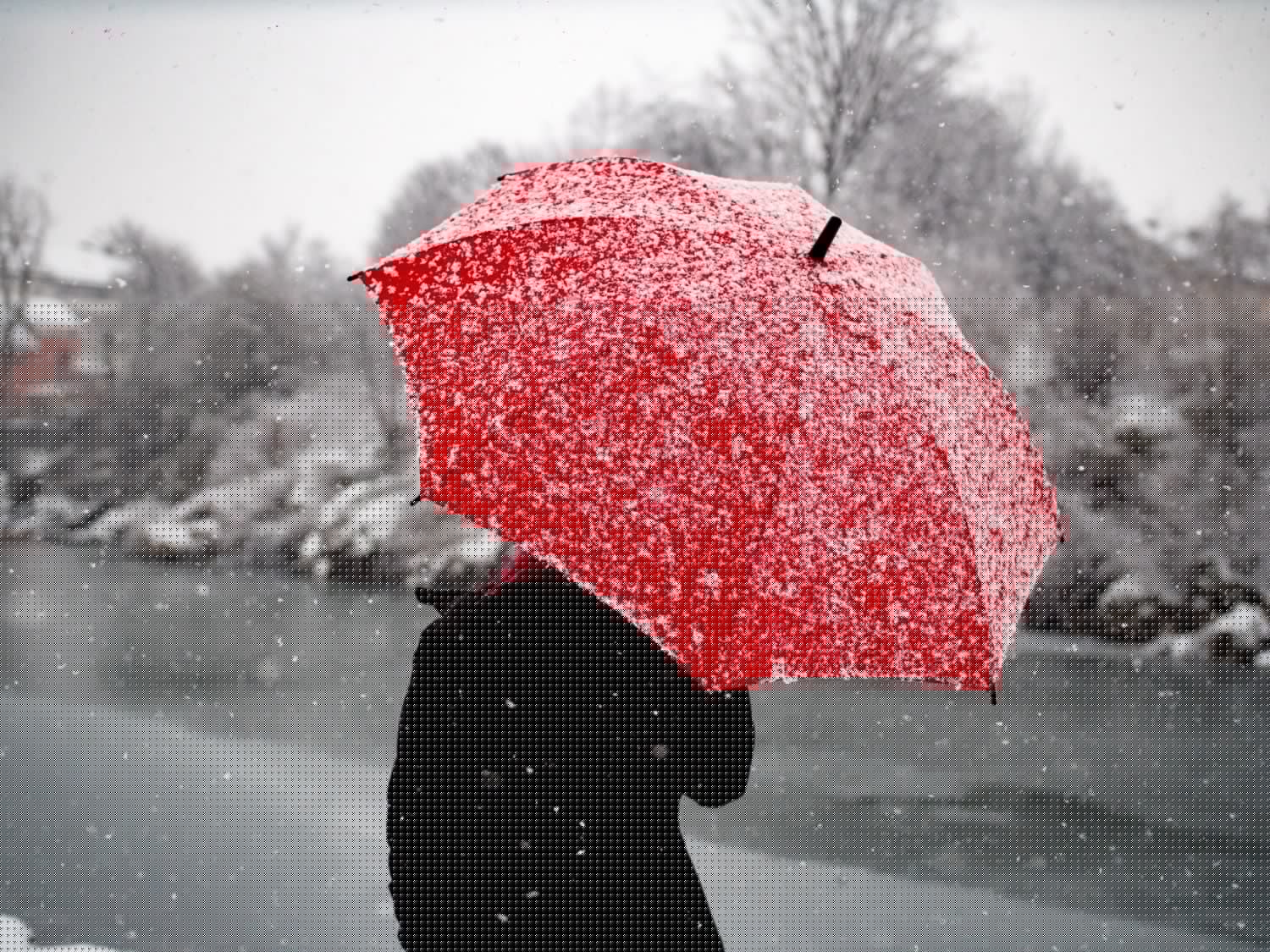 Light snowfall expected in parts of SA on Monday
