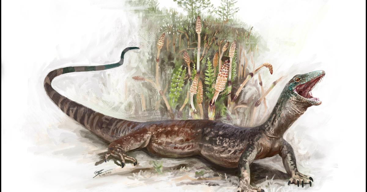 Meet the snake-toothed Scottish lizard that lived 167 million years ago