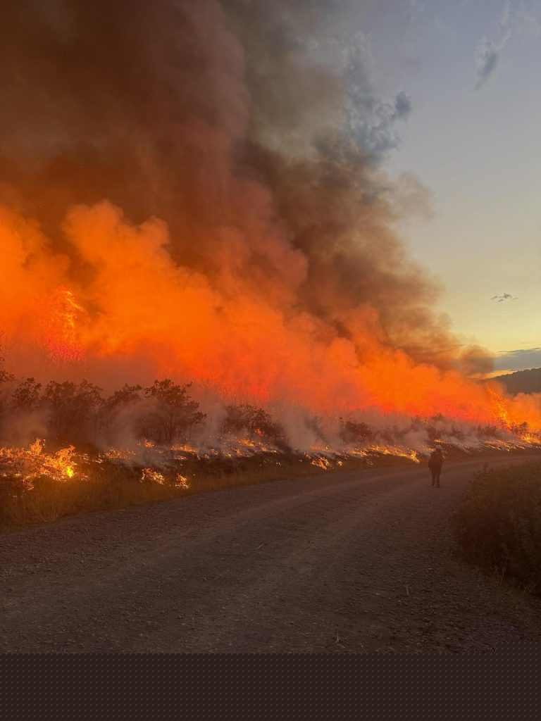 Wildfires have scorched over 200,000 acres in Colorado this summer