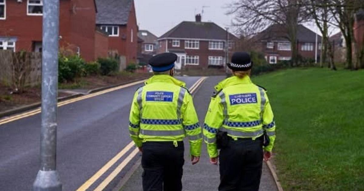 Police probe after cats seriously injured with air rifle in separate incidents