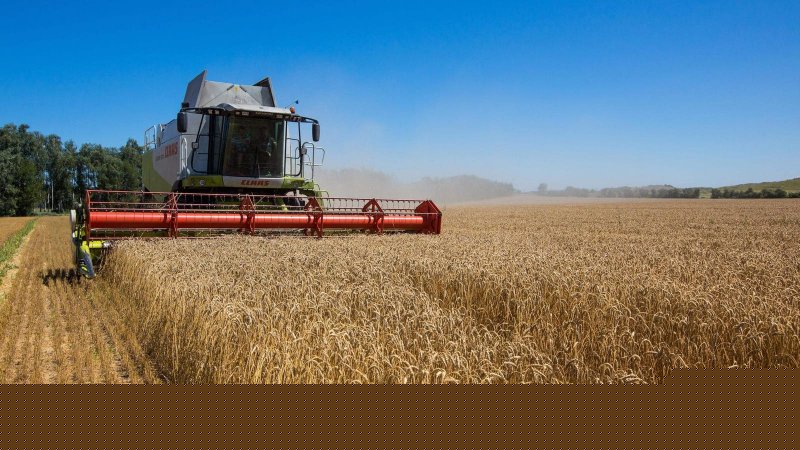 Kazakhstan boosts grain supplies to Azerbaijan