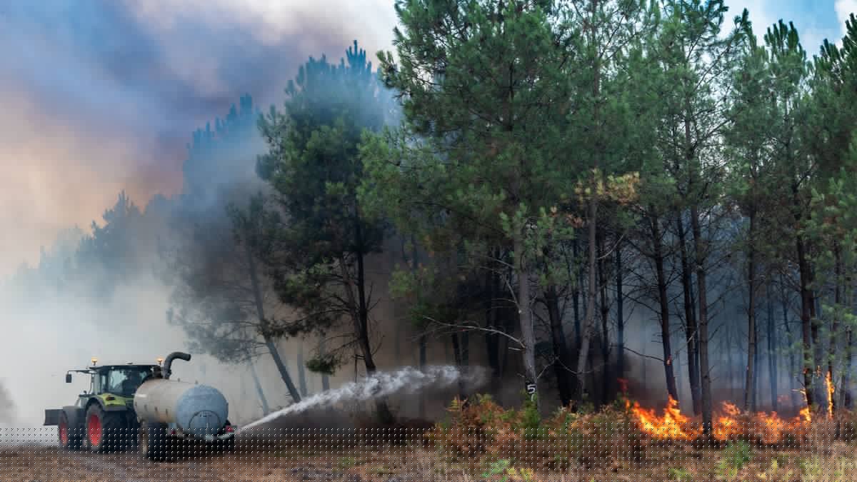 Incendies en Gironde : quelle aide apportent les agriculteurs et ont-ils vraiment été incités à ne pas intervenir ?