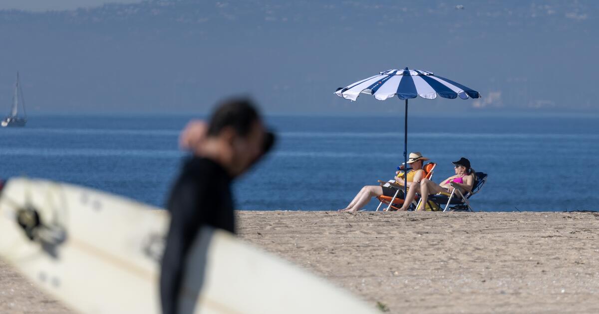 'Absolute betrayal': Lifeguards speak out against California parks official accused of secretly filming them