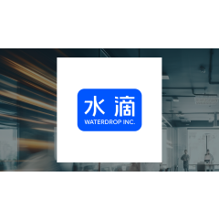 Waterdrop (NYSE:WDH) & Prudential Public (NYSE:PUK) Financial Review