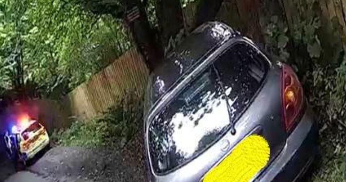 Man crashes car into tree after driving three times over limit