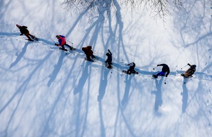 Tracking wildlife and taking in the winter scenery with snowshoes (PHOTOS)