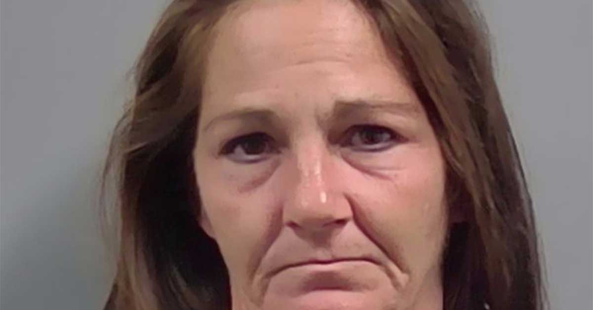 Cantonment Woman Charged After Alleged Knife Attack, Lawn Damage Off Becks Lake Road