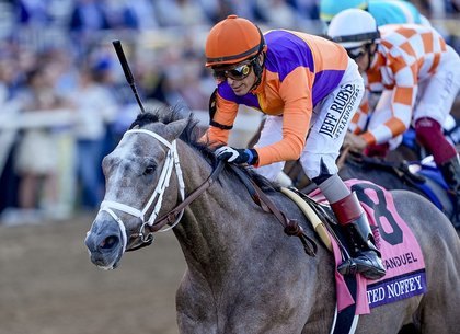 Unbeaten Champion Ted Noffey Taken Off Kentucky Derby Trail With Bone Bruising