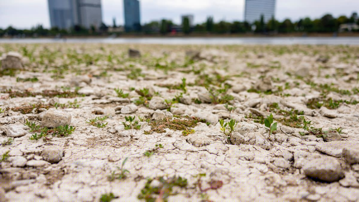 Hessen: Spaziergänger findet qualmende Phosphorgranate am Rheinufer
