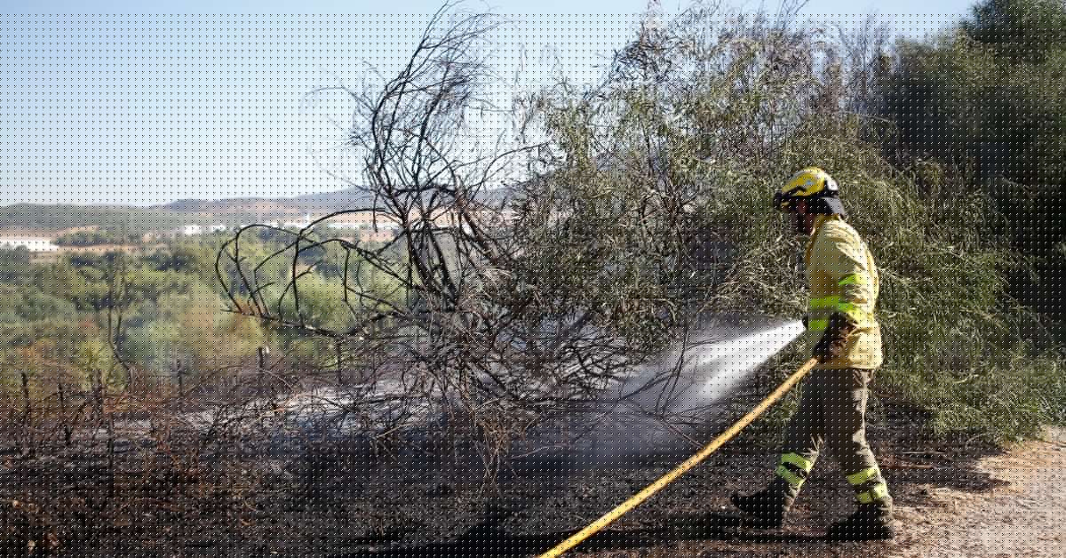 El Infoca extingue un conato de incendio en el Monte de la Torre, en Los Barrios