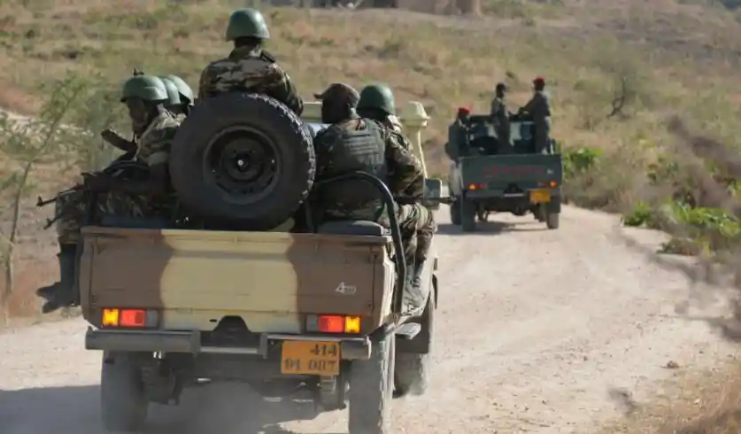 Extrême-Nord : une attaque terroriste fait huit morts à Kangaleri