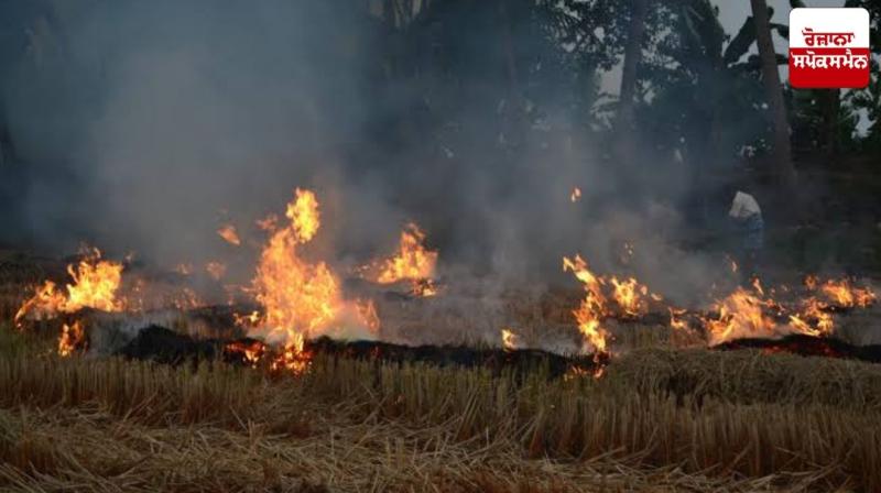Punjab Stubble Burning: IIT Mandi Study Warns of Deadly Pollution by 2040