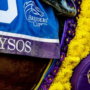 Nysos retired from racing at #11